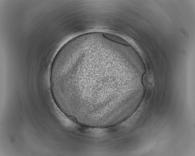 X0000110981246200907101403