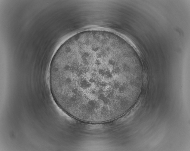 X0000110981247200907101403