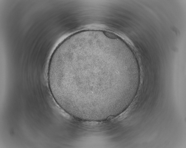 X0000110981248200907101403