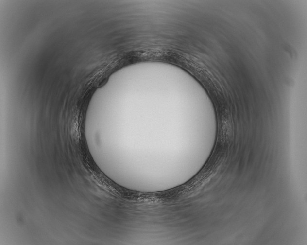 X0000110981250200907101402