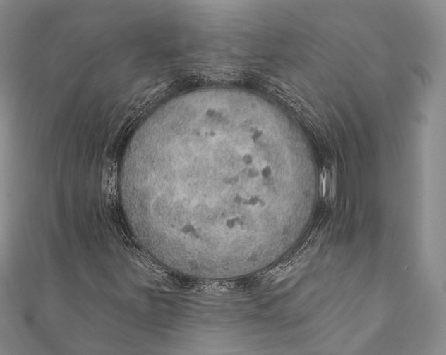 X0000110981251200907101402