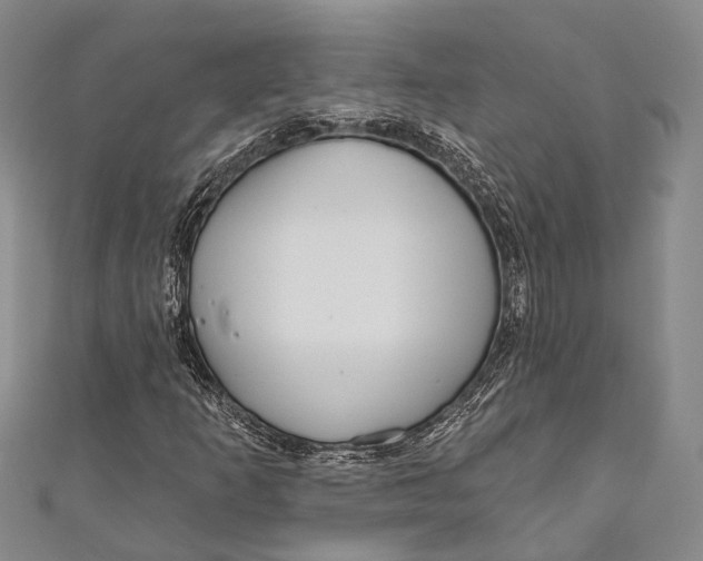 X0000110981253200907101402