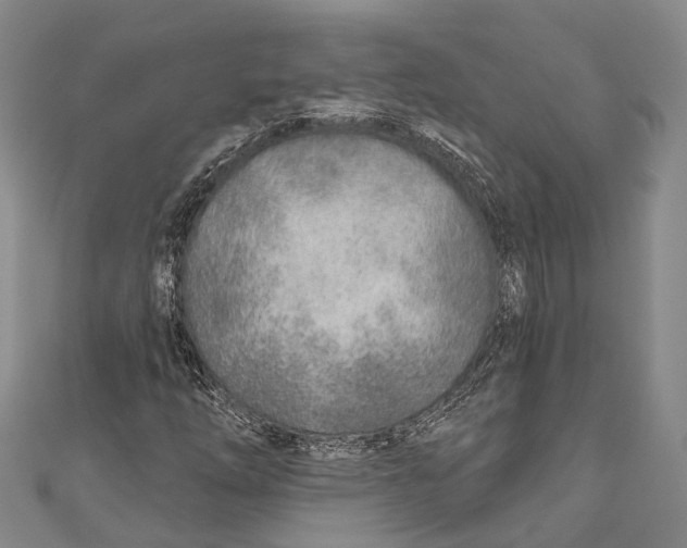 X0000110981254200907101402