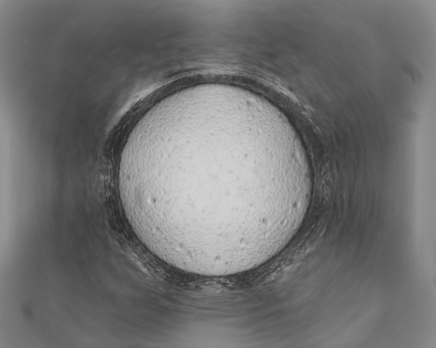 X0000110981255200907101402