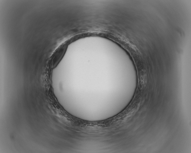 X0000110981256200907101402