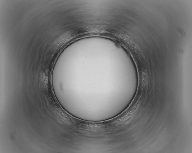 X0000110981257200907101402