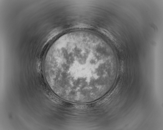 X0000110981258200907101402