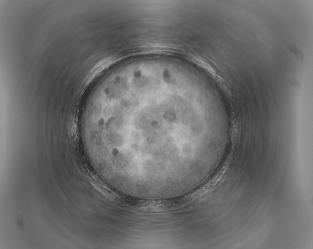 X0000110981259200907101402