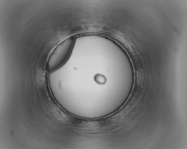 X0000110981260200907101402