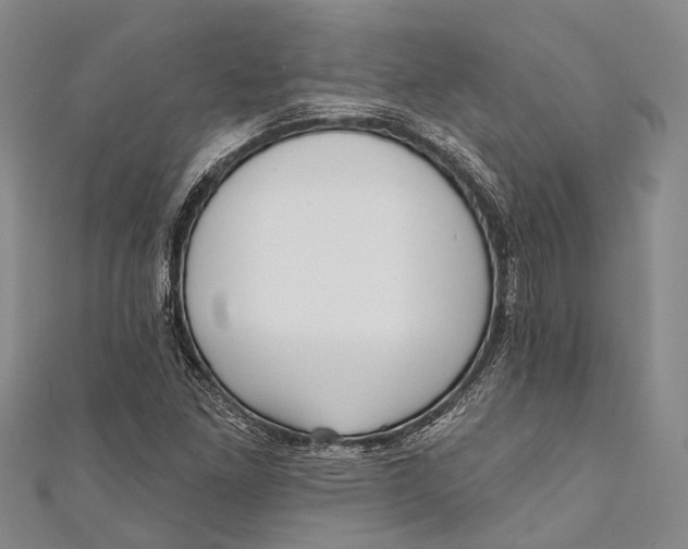 X0000110981261200907101402