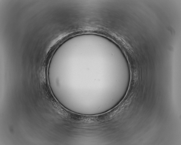 X0000110981262200907101402