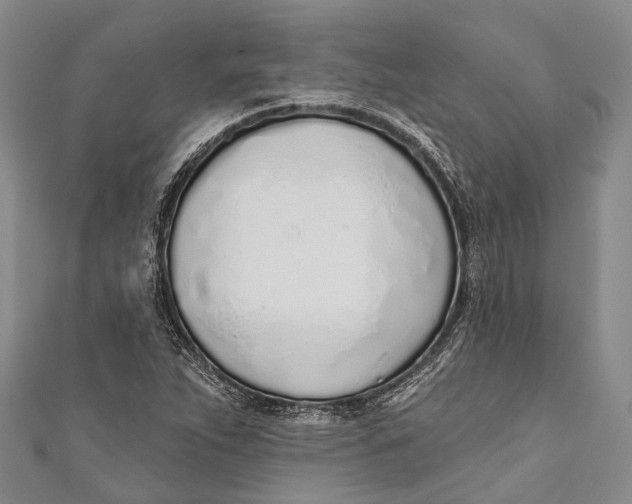 X0000110981263200907101402