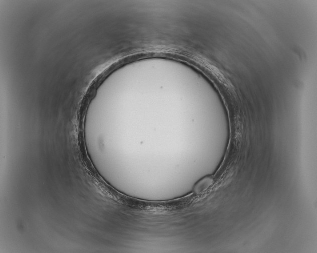 X0000110981264200907101402