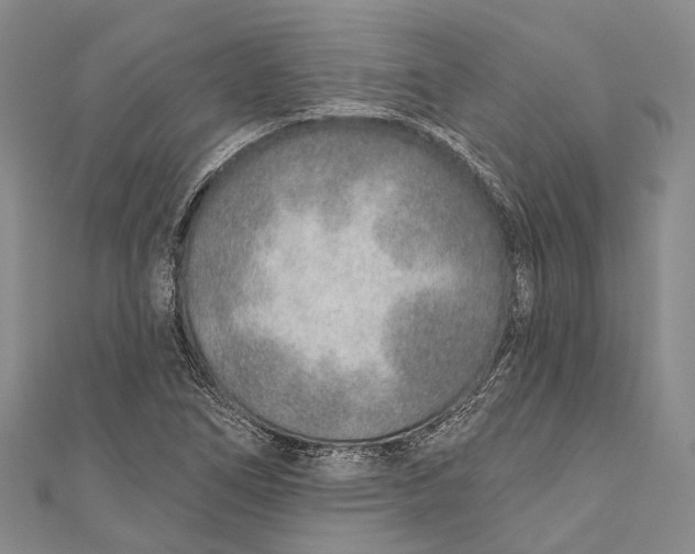 X0000110981266200907101402