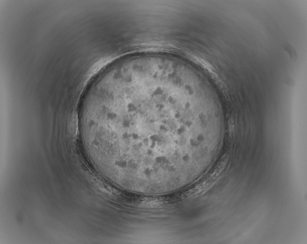 X0000110981267200907101402