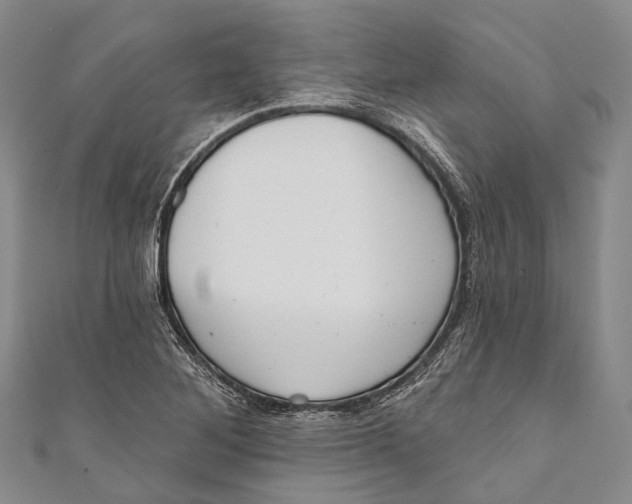 X0000110981268200907101402