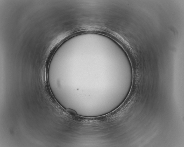 X0000110981269200907101402