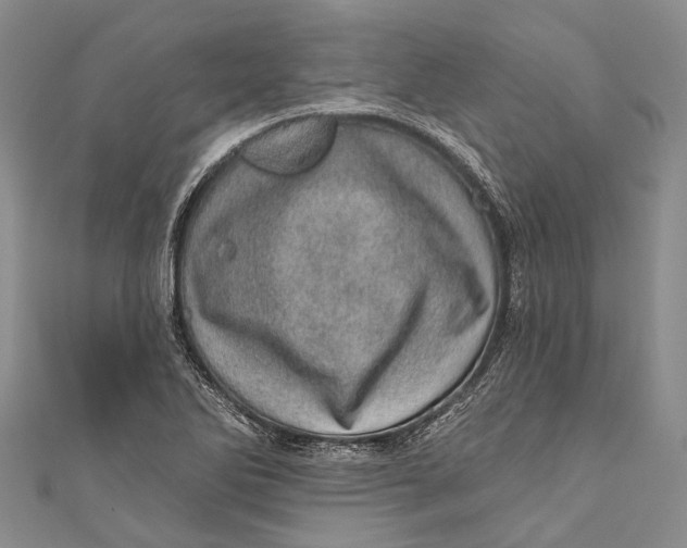 X0000110981270200907101402