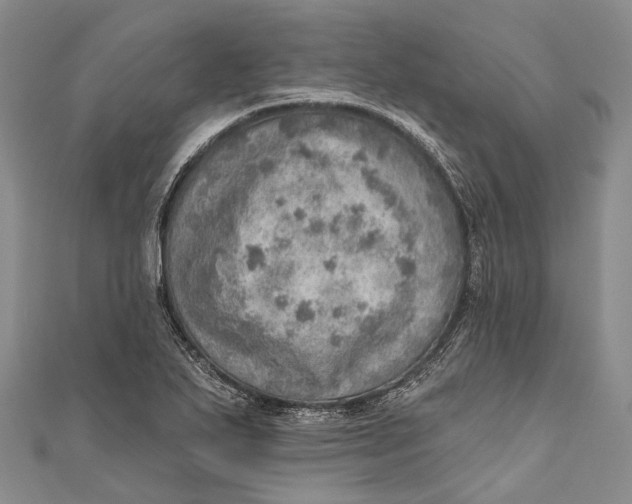 X0000110981271200907101402