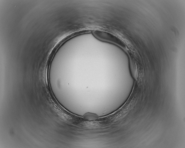 X0000110981272200907101402