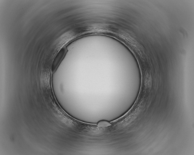 X0000110981273200907101402