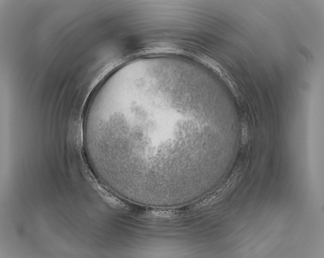 X0000110981274200907101402