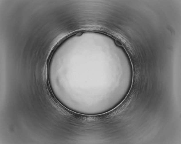 X0000110981275200907101402