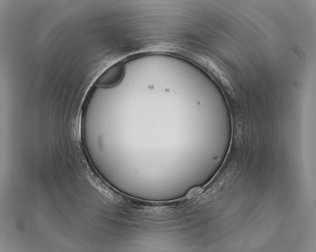 X0000110981276200907101402