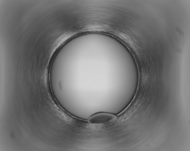 X0000110981277200907101402