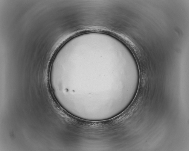 X0000110981279200907101402