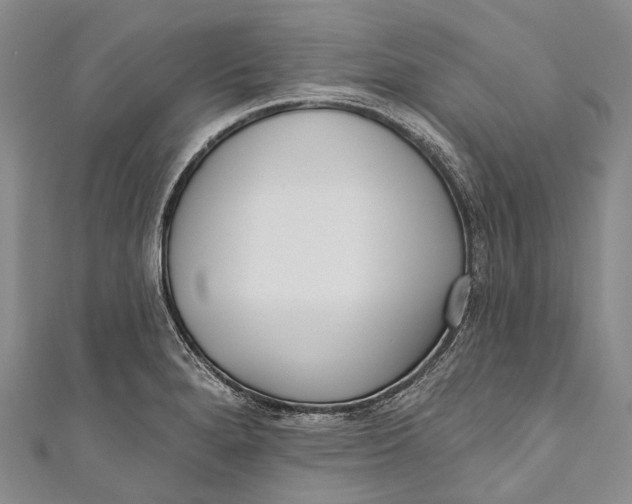 X0000110981280200907101402