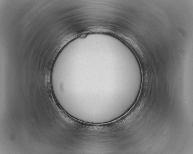 X0000110981281200907101402