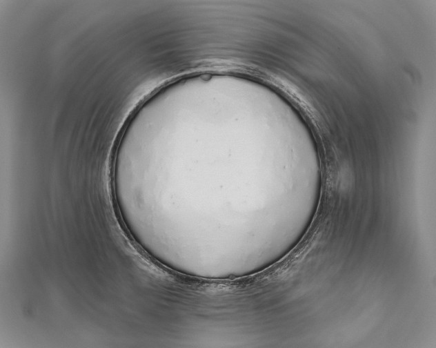 X0000110981283200907101402