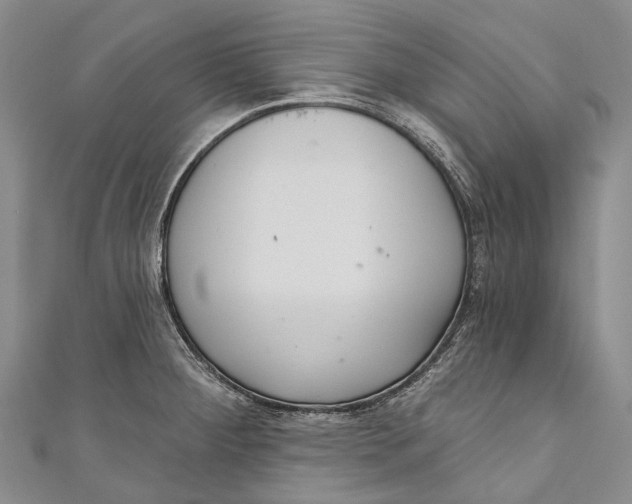 X0000110981284200907101402