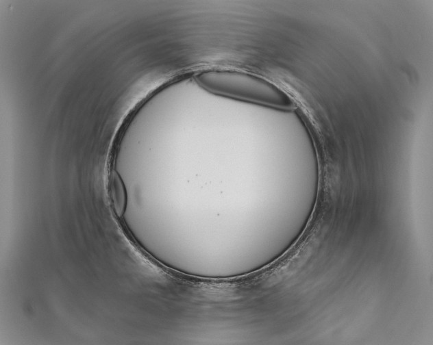 X0000110981285200907101402