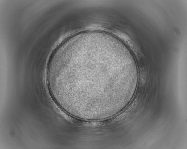 X0000110981286200907101402