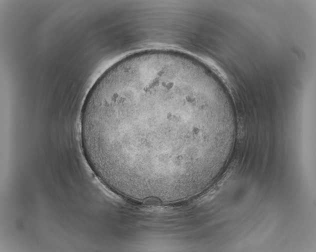 X0000110981287200907101402