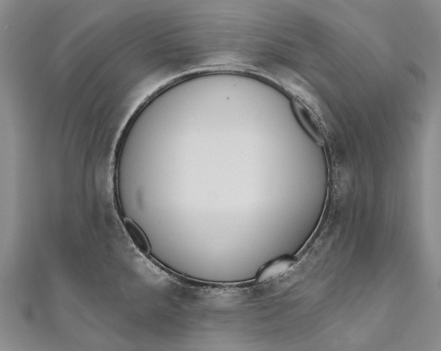 X0000110981288200907101402