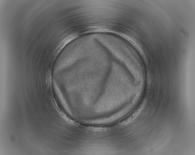 X0000110981289200907101402