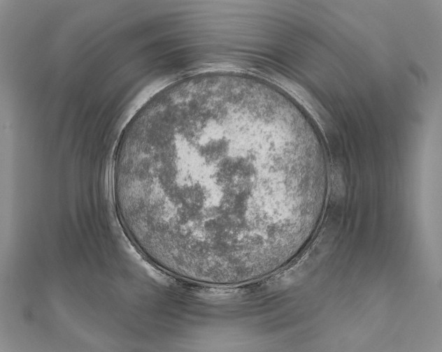 X0000110981290200907101402