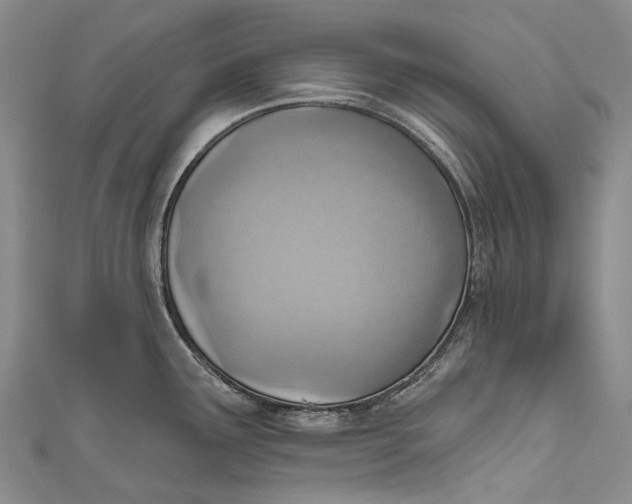 X0000110981291200907101402