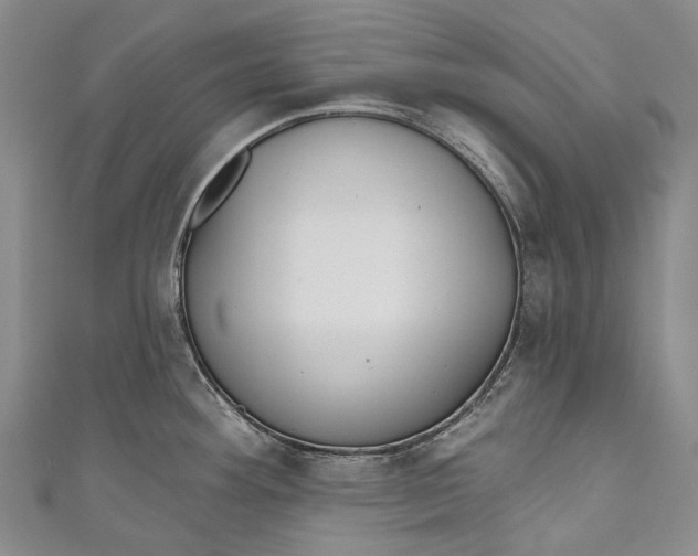 X0000110981292200907101402