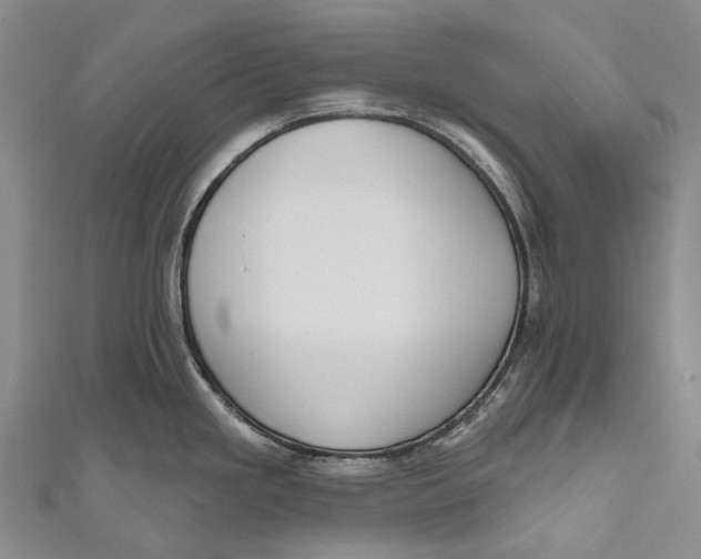 X0000110981293200907101402