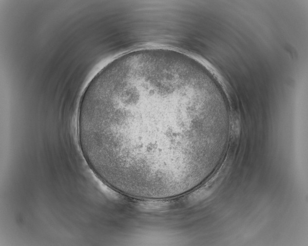 X0000110981294200907101402