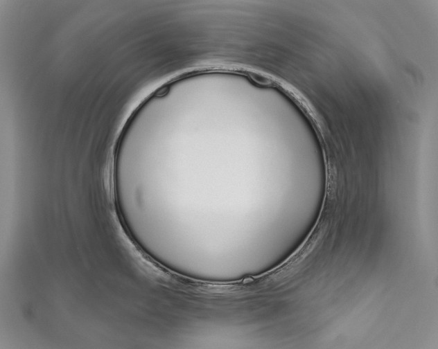 X0000110981295200907101402