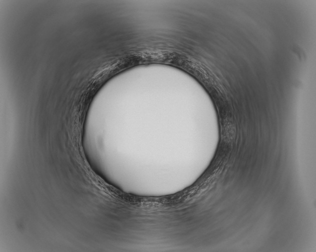 X0000110981297200907101401