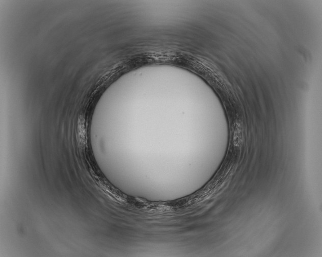 X0000110981298200907101401