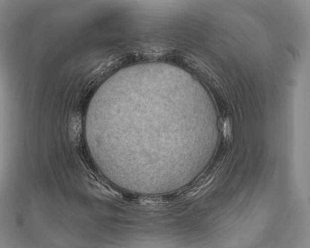 X0000110981299200907101401