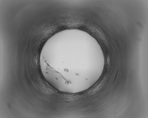 X0000110981300200907101401