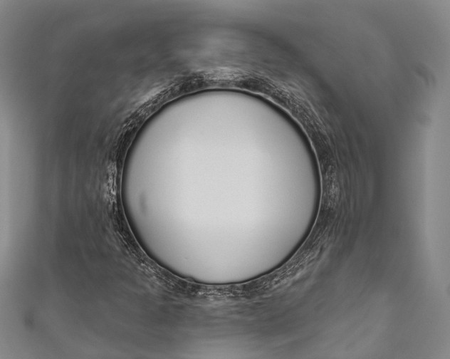 X0000110981301200907101401